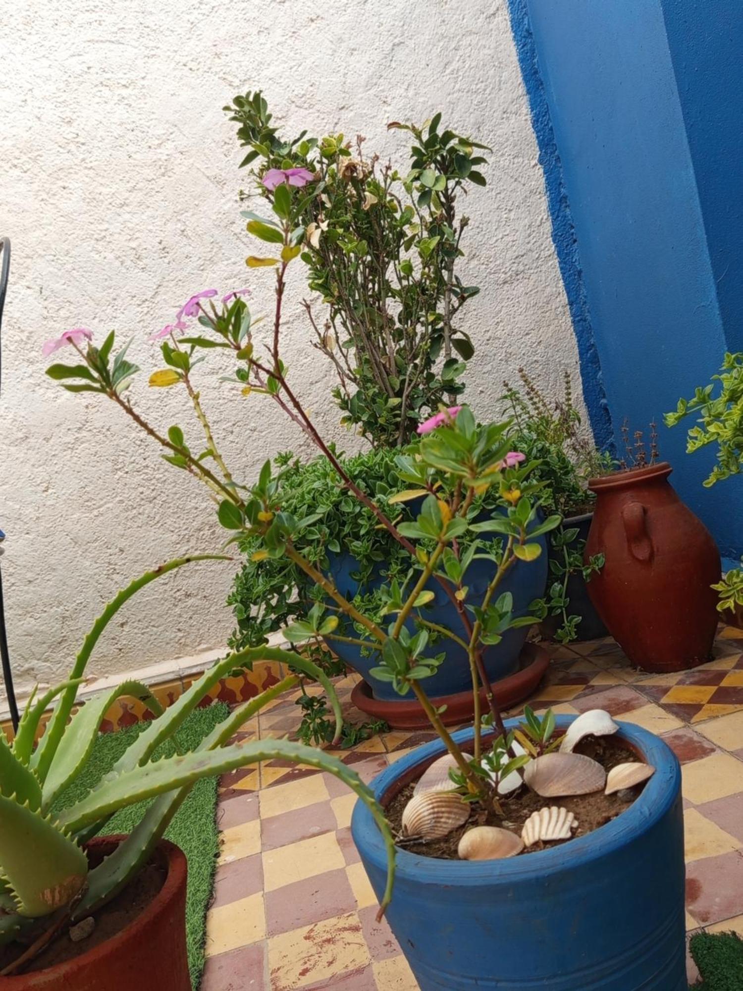 Riad Derb El Aarsa Маракеш Екстериор снимка
